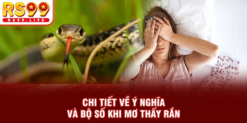 Chi tiết về giấc mơ thấy rắn đánh con gì?